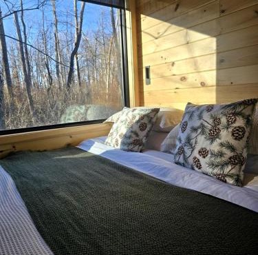Pine: Serene Tiny House Nestled in the Woods in Quakertown for a Romantic Glamping Getaway in Pennsylvania