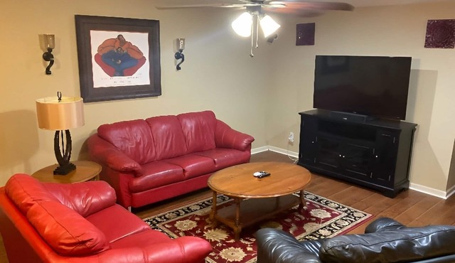 Private Luxury Basement