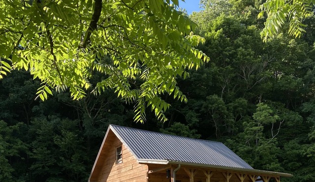 Private Mountain Cabin Near Famous Bicycle Virginia Creeper Trail