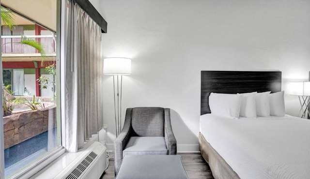Relaxing Stay Near Hollywood Beach with Swimming Pool & Free Breakfast