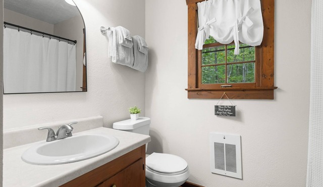 Retreat to Pet-Friendly Cabin near Helen, Blue Ridge & Appalachian Trail!
