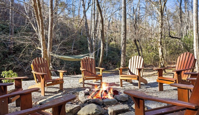 River Lodge Kayaks Mins to Blue Ridge River