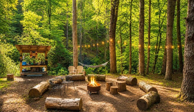Riverbright Treehouse on the Toccoa