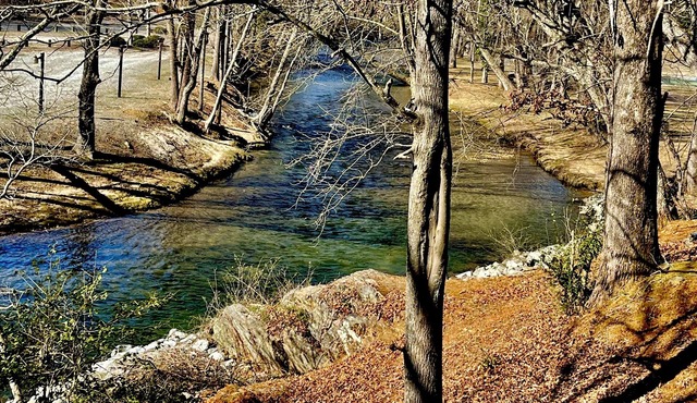 Riverfront & Mt. Yonah Views: 3 Master Suites - Walk to Water Park!