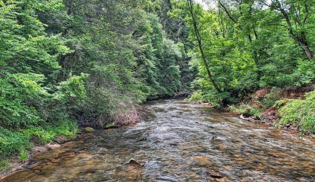 Rock N' River- Riverside retreat | Year Round Trout Stream | Master on Main