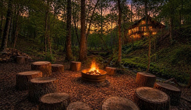 Ruhewald Cabin - Hot Tub, 3 Creeks w/Waterfalls, Remote