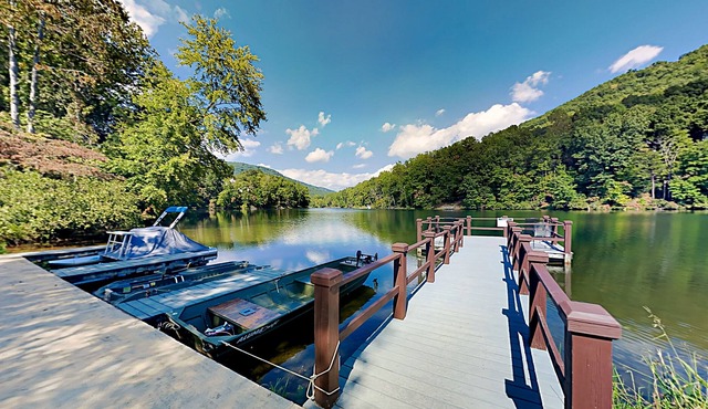 Rumbling Bald Condo | Fabulous Lake View | Fireplace, Screened Patio & Docks