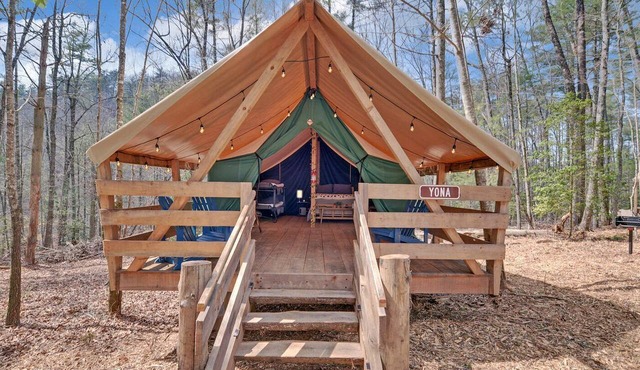 Safari Tent Bliss for You and Your Best Friend: Pet-Friendly Glamping in Suches, Georgia