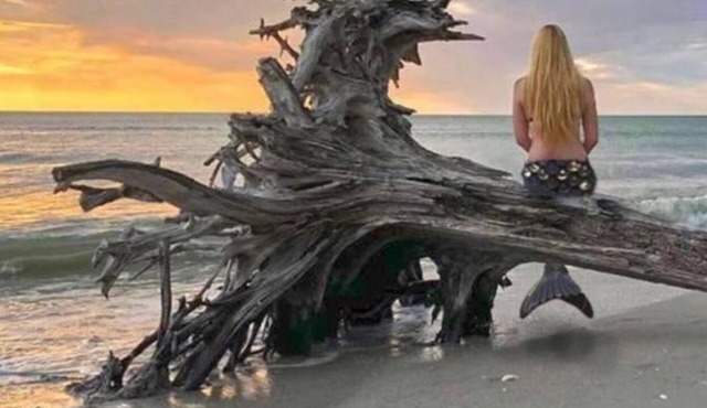 Salty Mermaid on Little Gasparilla Island! Come get salty!