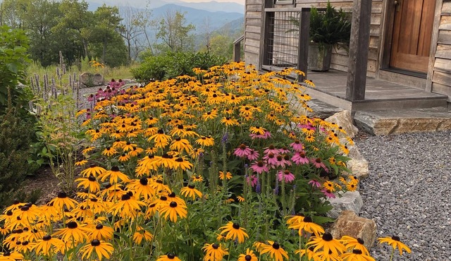Secluded 13-Acre Family Cabin Near Chimney Rock & Lake Lure - Mt Mitchell Views