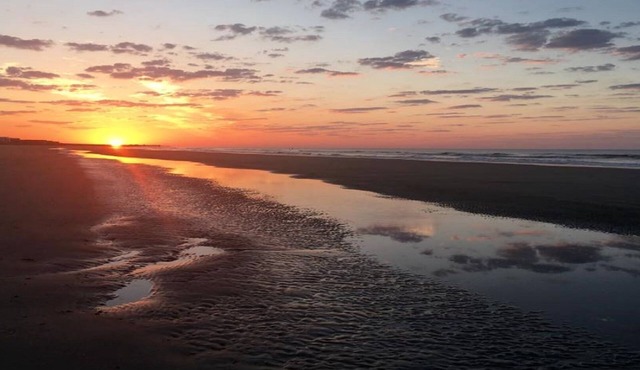 Short Walk to Beach- Close to Pier, Restaurants & Front Beach. Monthly Discounts