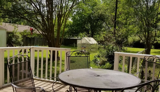 Small private home on quite street just a short distance to downtown Charleston.