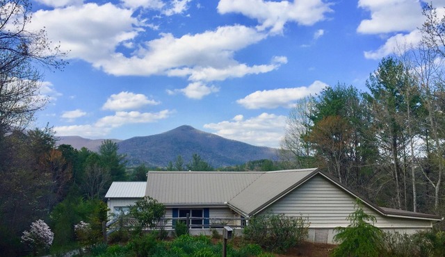 Spectacular Mountain Views of Tray & Chimney Mountains