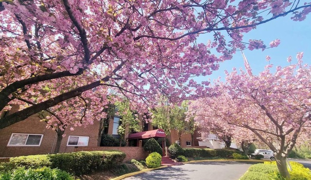 Stylish 1BR | Moss Rehab | Monthly Deals