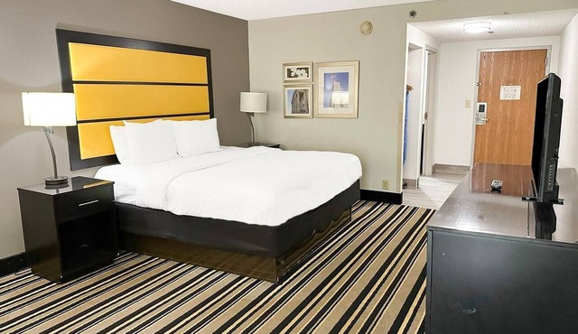 Suite - King Bed|Jackson