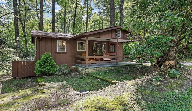 Sunflower Shack: 1 BR, 1 BA Cabin/Bungalow in Maggie Valley, Sleeps 2