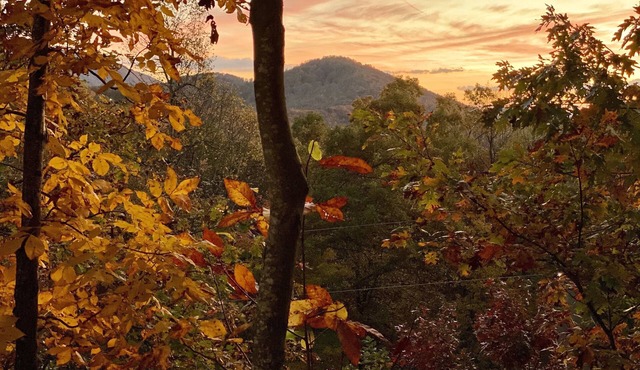 Tasteful & Private, yet Central to Avl, Black Mtn, attractions and outdoor fun!