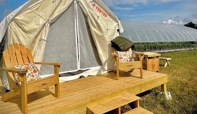 Tentrr Signature Site - Allenbrooke Farms Glamping Site 1