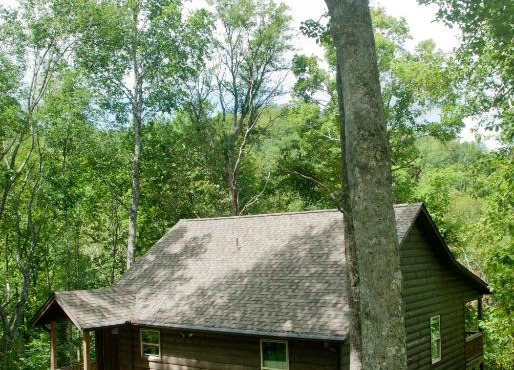 The Sassafras Breeze