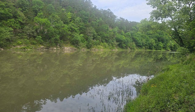 Tranquility at VINE on Glover River, surrounded by nature & peace! FREE kayaks! in Broken Bow