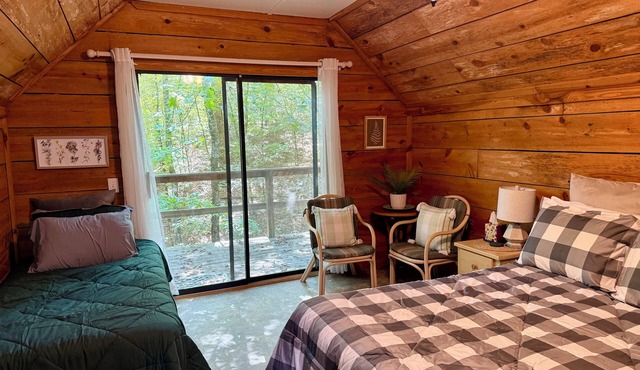 Tree Tops Private Suite + Separate Entry; Quiet Retreat