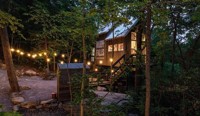 Treetop Hideaways - The Redbud Treehouse