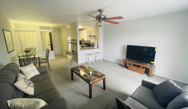 Updated 1BR Apartment | Moss Rehab | Save Monthly