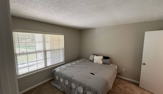 Welcome home Cozy one bed one bath With fire place