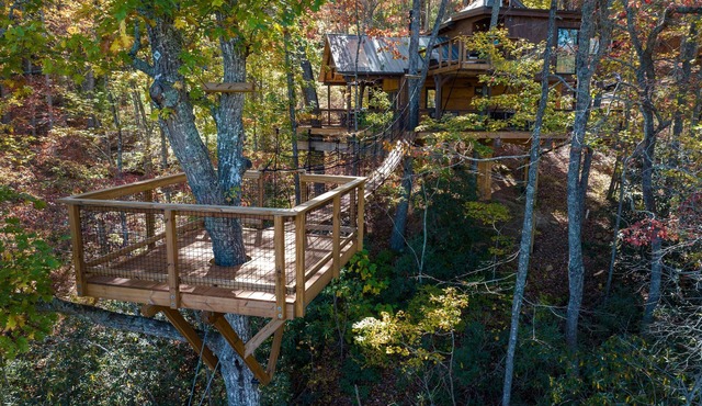 XL Treehouse on 7 Trees with Bridge & Platforms - The Hylo