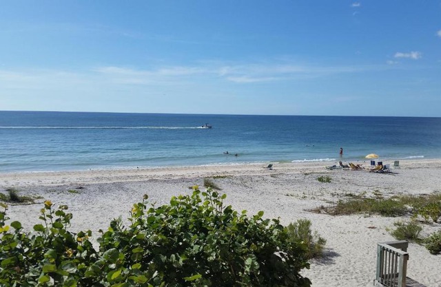 Barefoot Beach 501