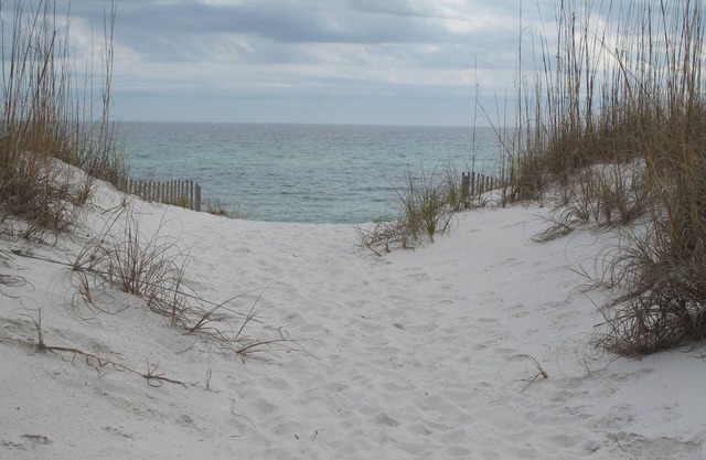 Beachfront, fantastic Gulf views. Sleeps 6. New kitchen, more upgrades for 2025.