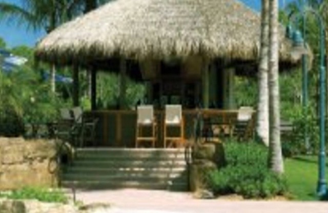 Beautiful Condo for Spring Break