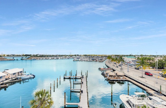 Downtown Waterfront Dock 