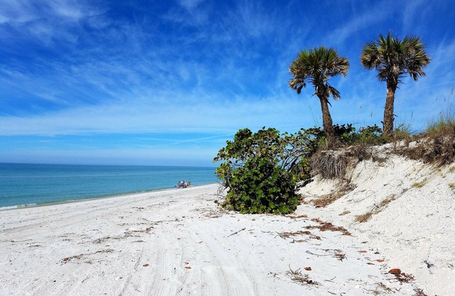 Free Bikes, Kayaks, SUP's and More! Spoil yourself with unmatched amenities!