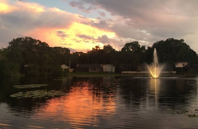 Great Condo Close To Busch Gardens!!
