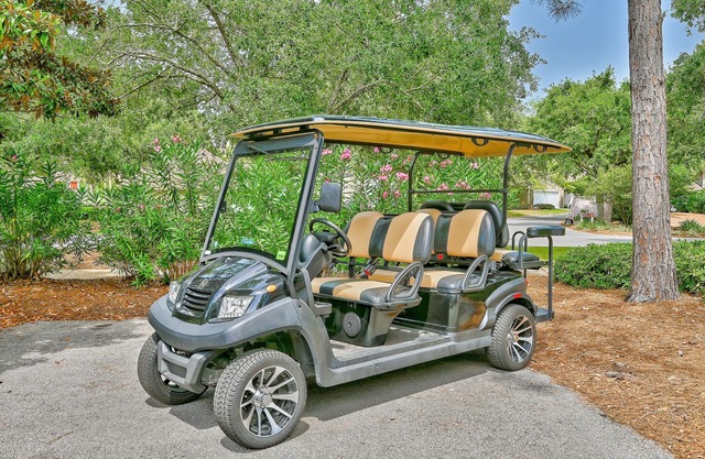 Lake Views ~ Private Balcony ~ 6-Seat Golf Cart