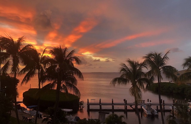 Summer Sea Islamorada 