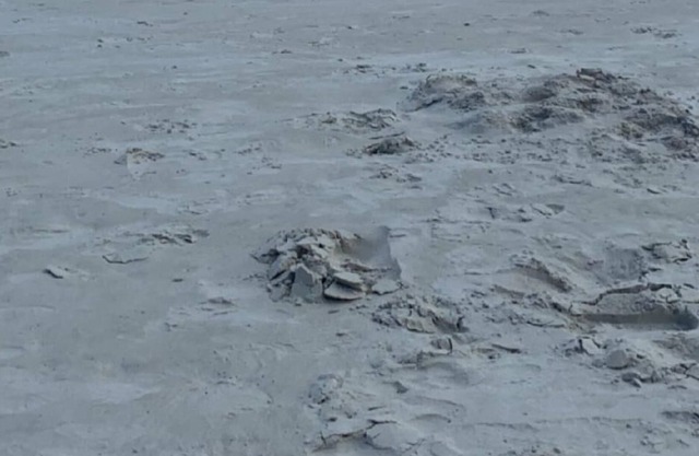 ON THE BEACH SPACIOUS 2 BEDROOM CONDO WITH OCEAN FRONT VIEW ON DAYTONA BEACH!!!