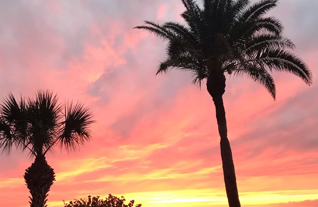 Reflections on the Gulf -Family Friendly Beach Front Condo -2 weeks minimum stay