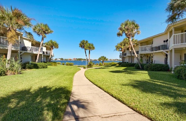 Sand Dollar 202W