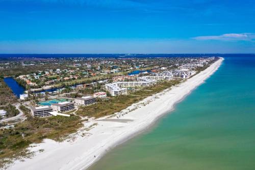 Sanddollar 