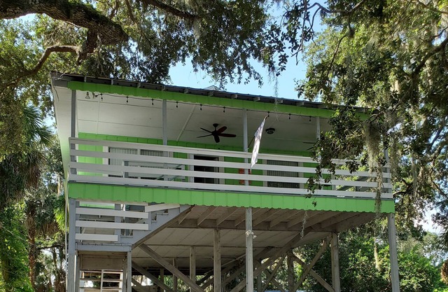 Visit Florida's nature coast - home of manatees, dolphins, eagles, and mermaids