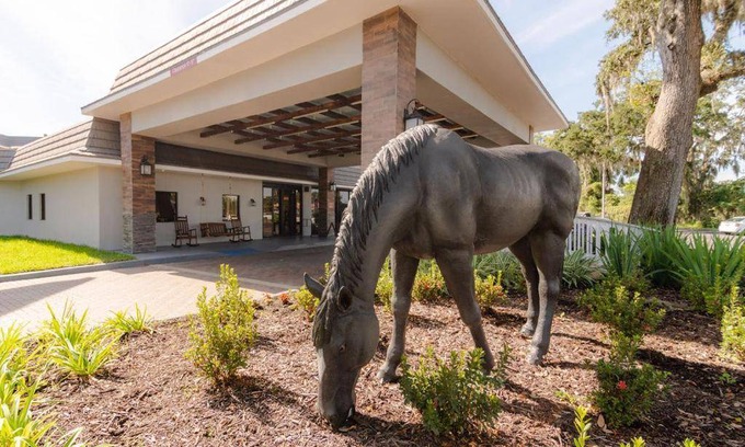 Ocala House | 300 m² Motel ∙ 127 guests