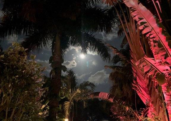 Sarasota House | 33 m² House ∙ 1 bedroom ∙ 2 guests