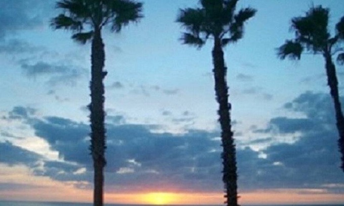 Longboat Key Condo | 70 m² Condo ∙ 1 bedroom ∙ 4 guests