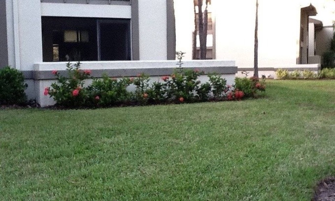 Oldsmar Condo | 86 m² Condo ∙ 2 bedrooms ∙ 4 guests