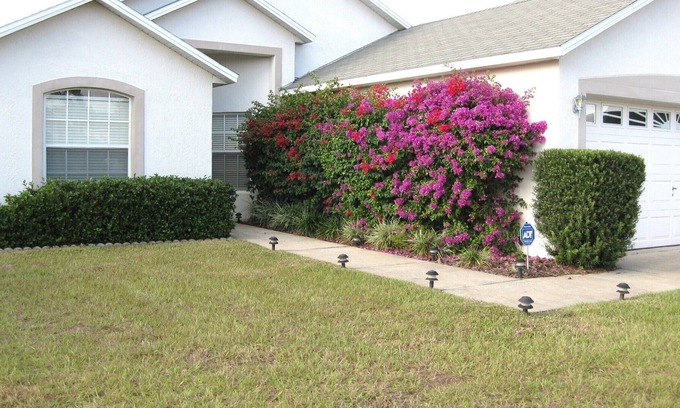 Poinciana House | ALWAYS FREE POOL HEAT - Disney, Pool Home - Lake View - New CARPET/TILE