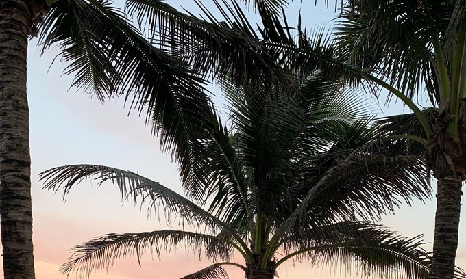 Floridana Beach House | Beachfront Paradise! GREAT FAMILY Vacation! SALTWATER HEATED POOL
