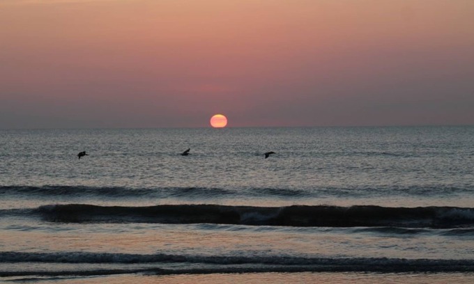 Ormond-by-the-Sea Condo | Beachside Beauty ! Stunning Ocean & Pool Views !