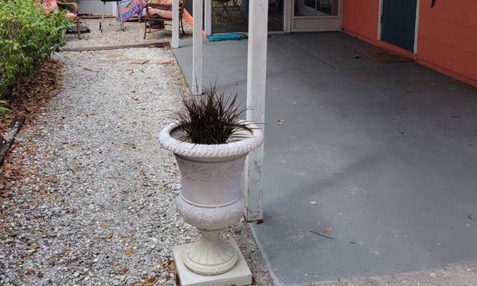 Crystal Beach Apartment | Coastline & relaxation steps away in Crystal Beach. Honeymoon Island 3miles away